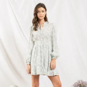 Empire Waist Long Sleeve Mini Dress