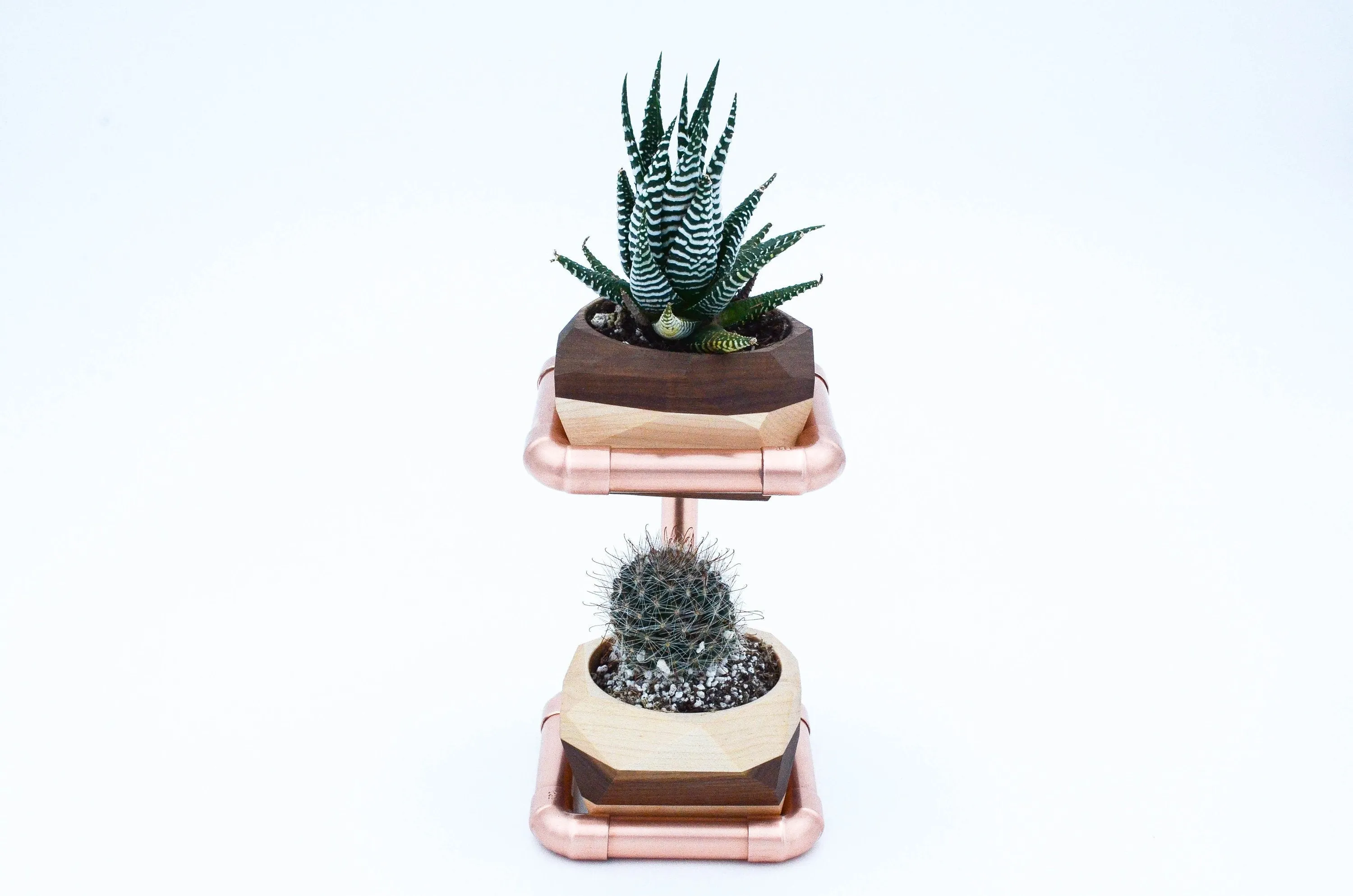 Geometric Double Cactus & Succulent Planter with