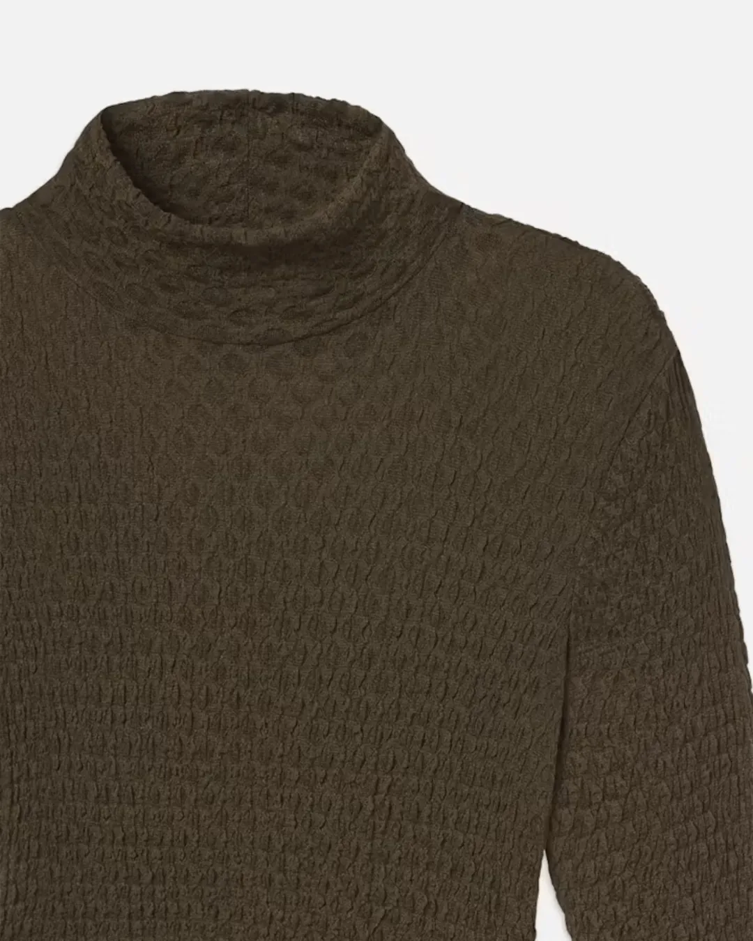 MESH LACE TURTLENECK