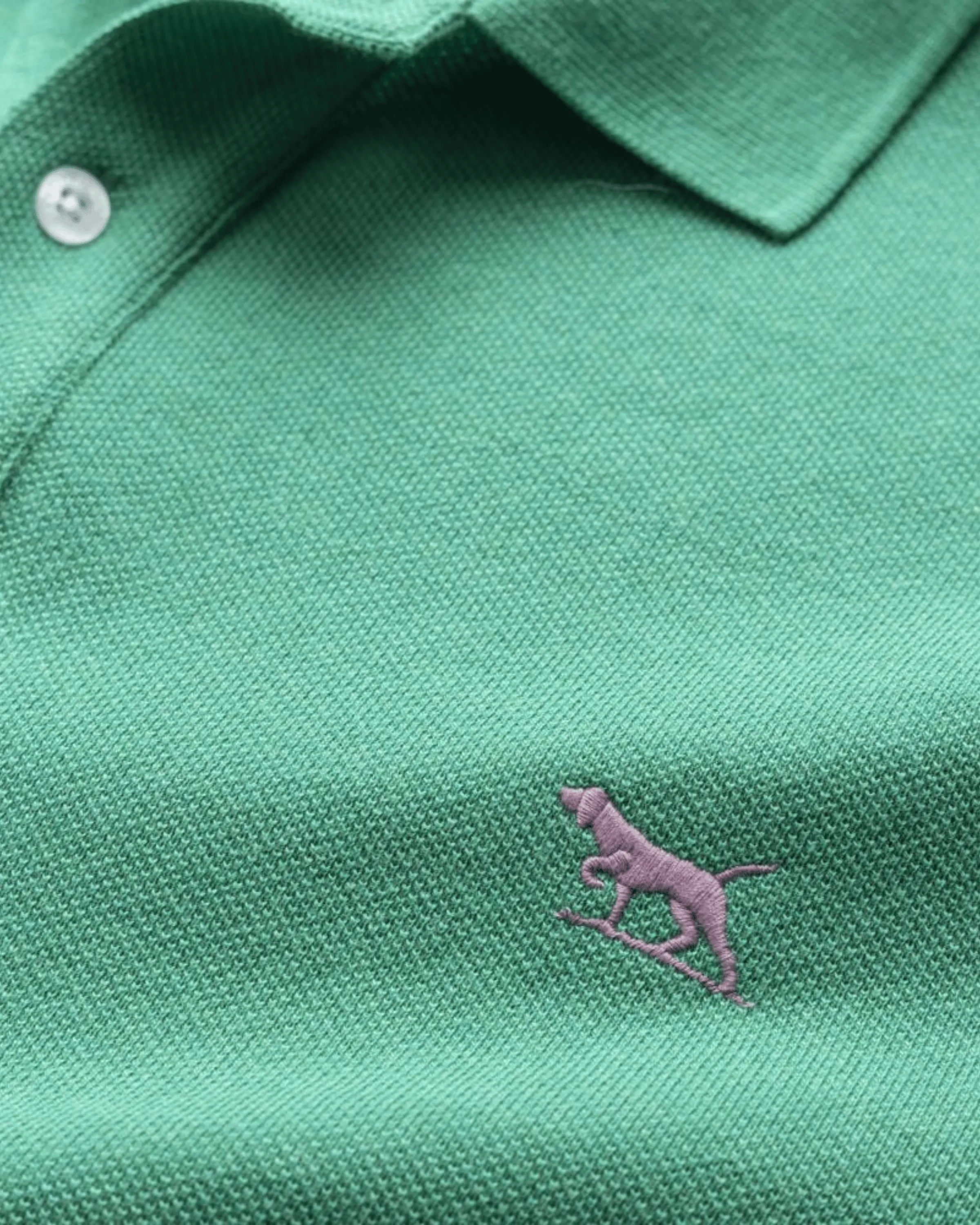 Rodd & Gunn The Gunn Polo