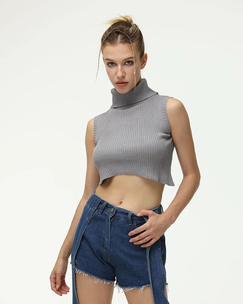Tincture Ribbed Turtleneck Top