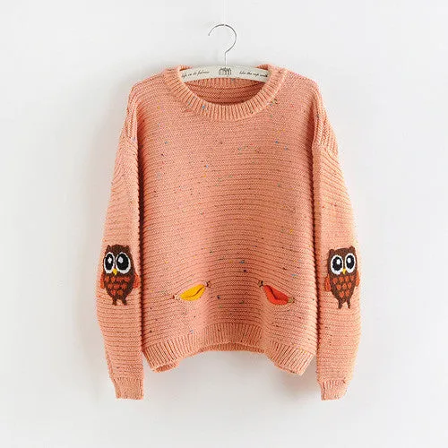 womens fashion winter autumn o-neck collar owl character with pocket hit color solid loose cashmere sweater pullovers