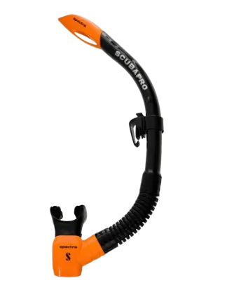 Zoom Evo Mask & Spectra Snorkel